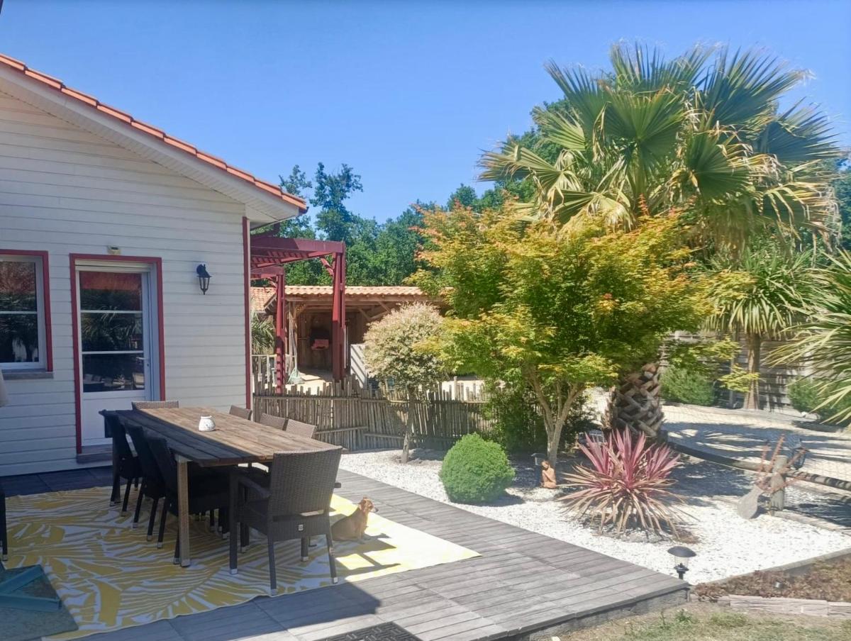 Modern house with Pool & Jacuzzi in Carcans - Housity