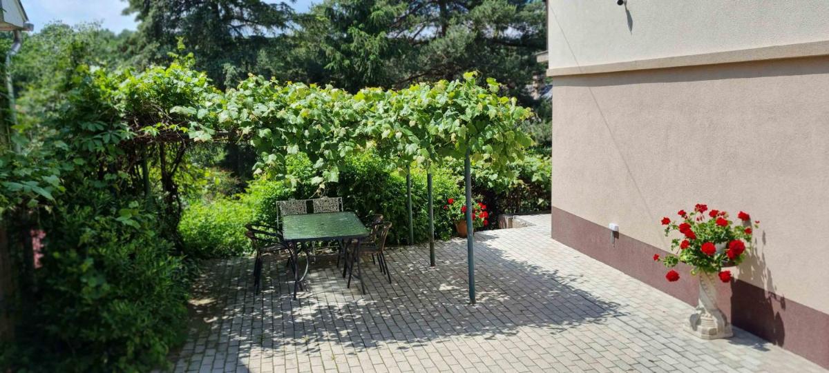 Lugas Apartman Miskolctapolca 2 hálószoba Dézsa és Jakuzzi közel a Barlangfürdőhöz - Housity