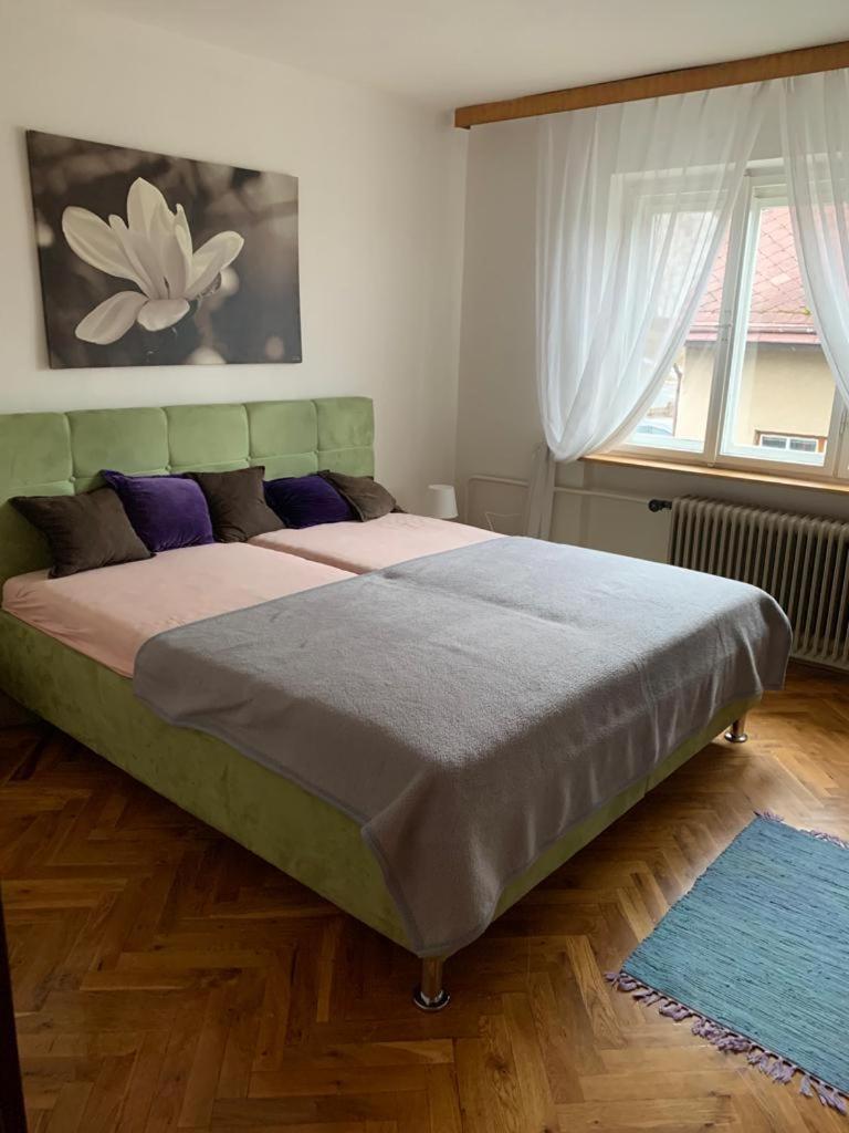 apartman Luník - Housity