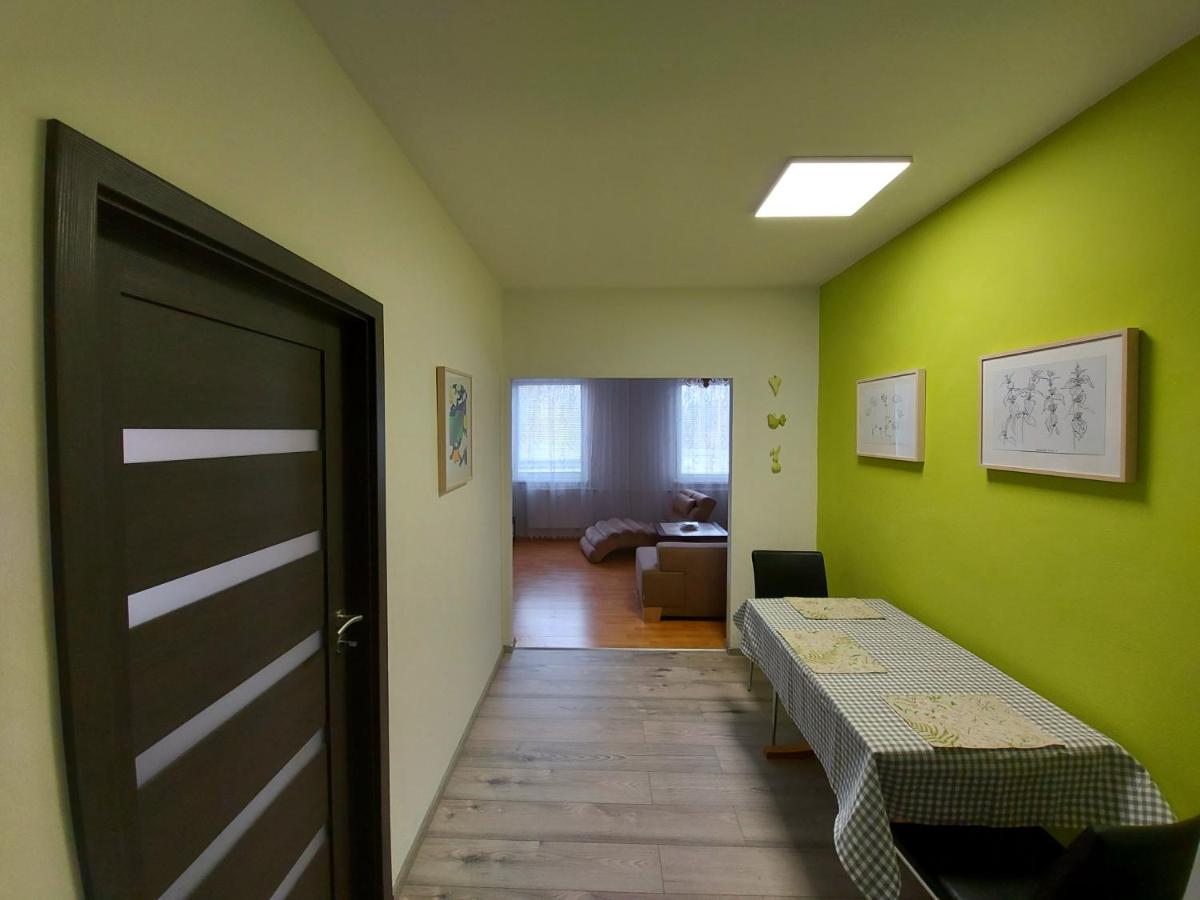 Apartmán Eva - plně vybavený byt - Týn nad Vltavou - Housity