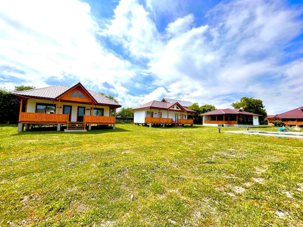 Agapia Agapescu - Hizvo
