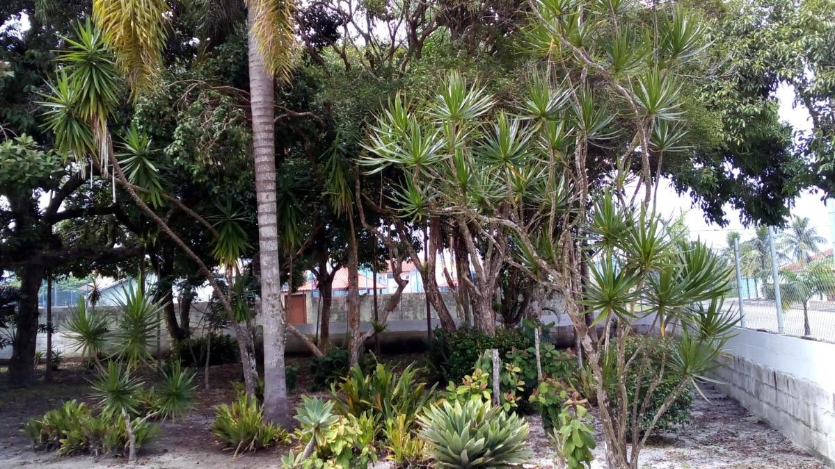 PERUÍBE - Recanto José de Anchieta - A 500 metros da Praia - - Housity