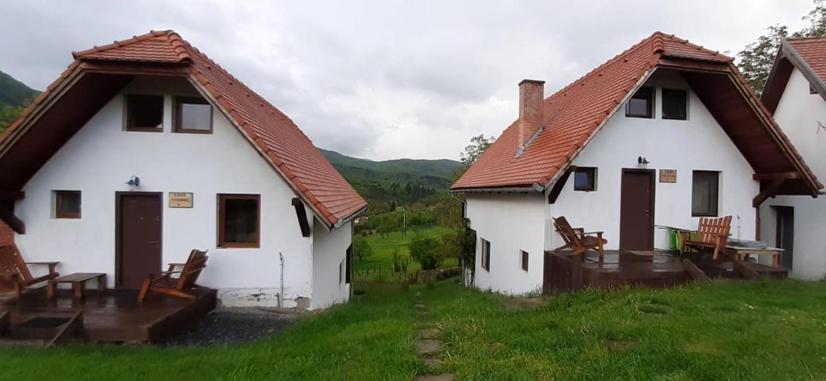 Vacation homes camping Ananas - Housity