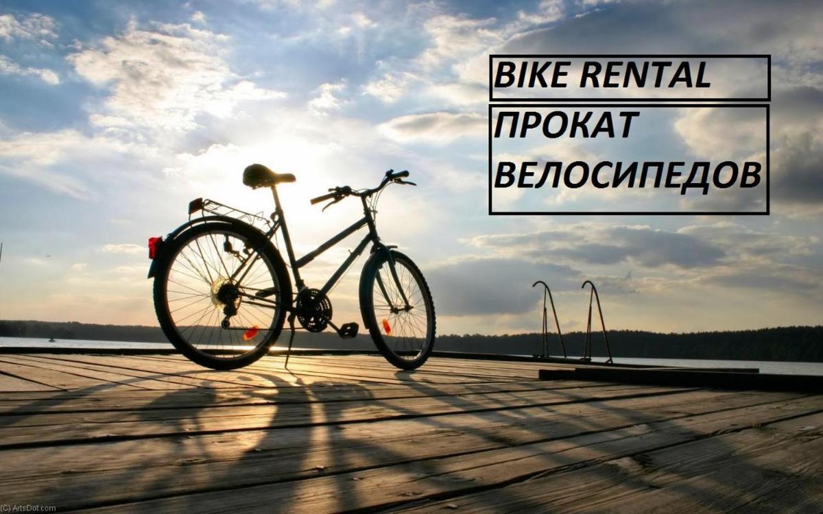 Dream House &amp; Hostel - Housity