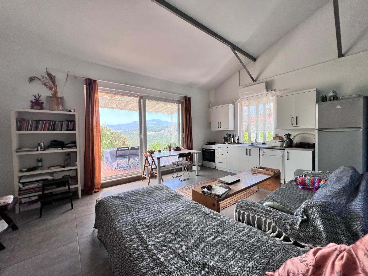 Detached house surrounded by fruit trees, very close to Olympos and Çıralı - Housity