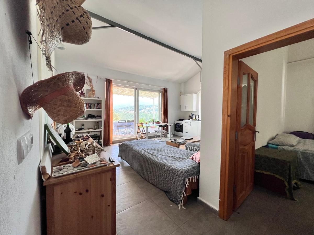 Detached house surrounded by fruit trees, very close to Olympos and Çıralı - Housity