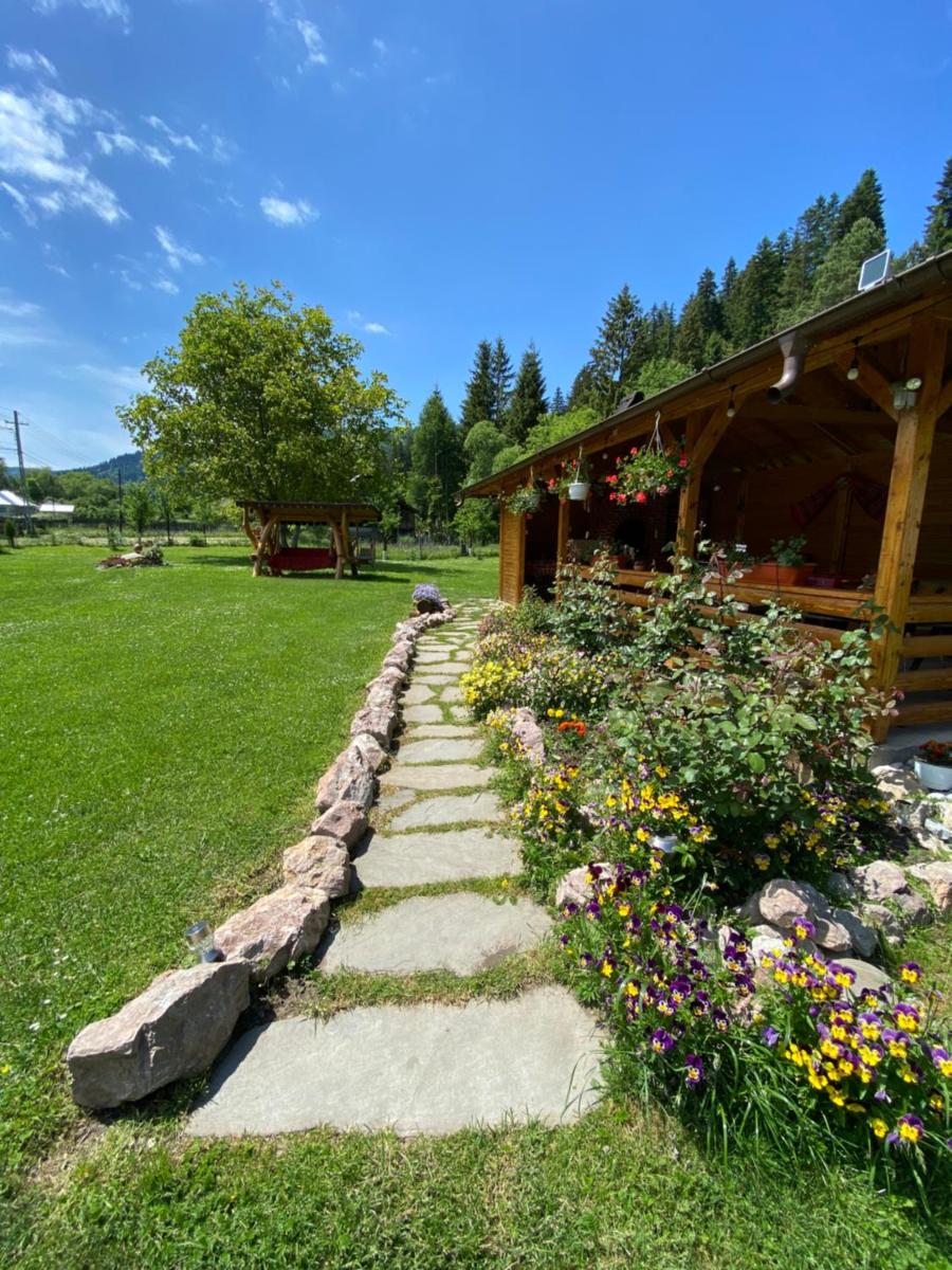 Pensiunea Casa Pancu - Housity