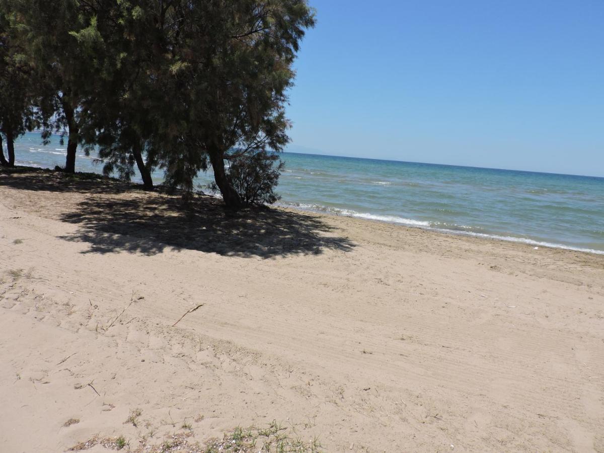 Ionian Beach Villas - Housity