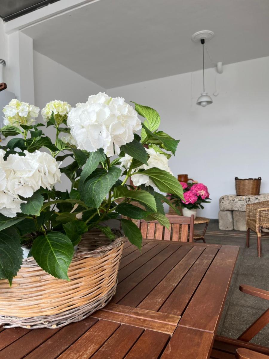 La Casa di Annunziata - Housity