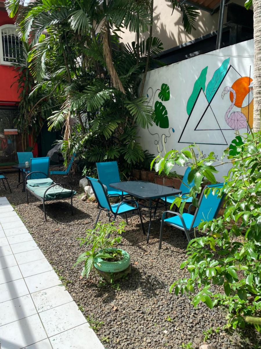 Zebulo Hostel - Housity