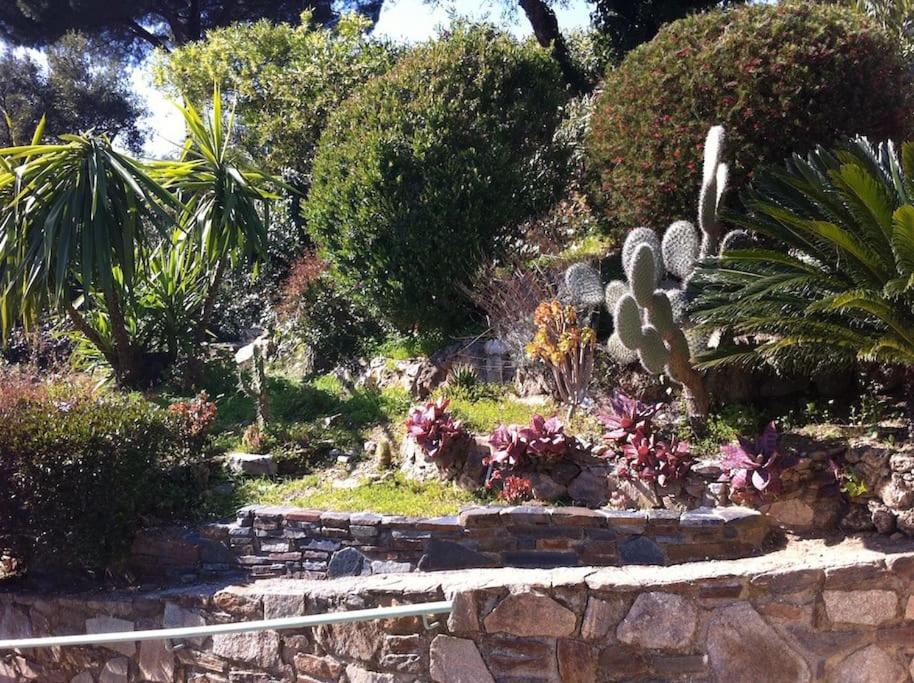 Charming house near Saint-Tropez - Housity