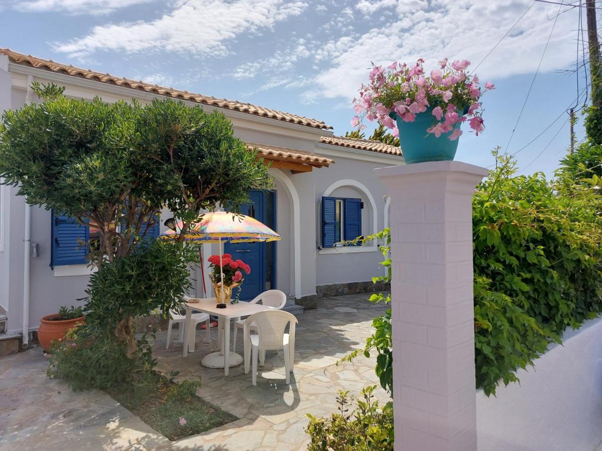Leta apartments - Housity