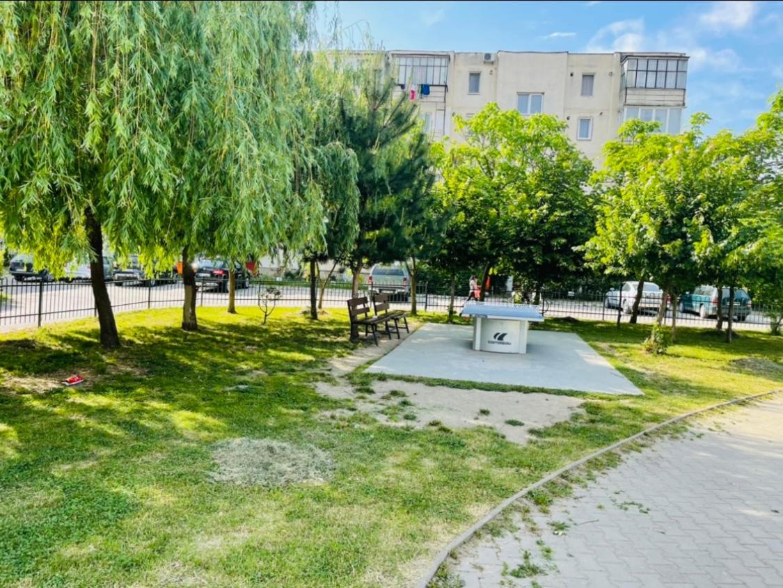 Blue Apartment - Housity