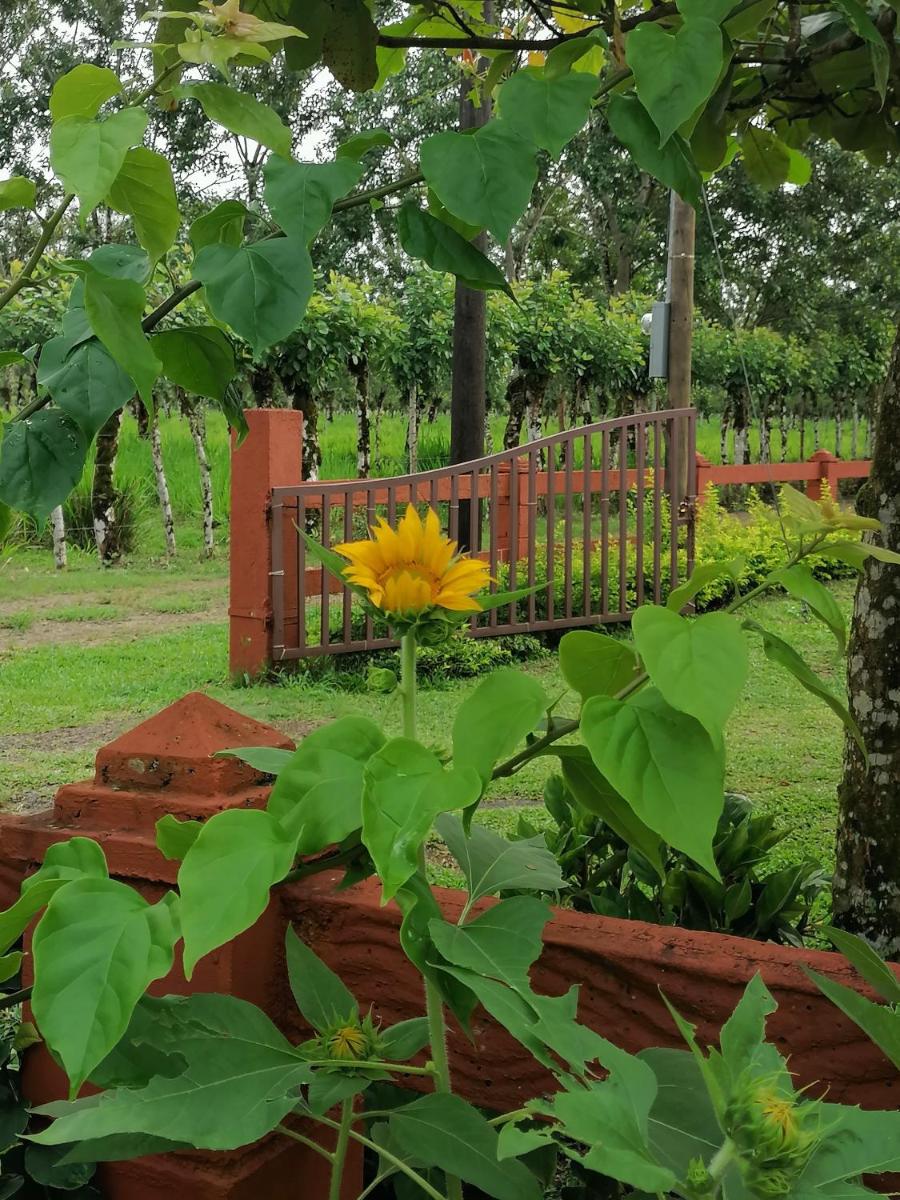 Villa Malinche cerca de Fortuna con parqueo gratis - Housity