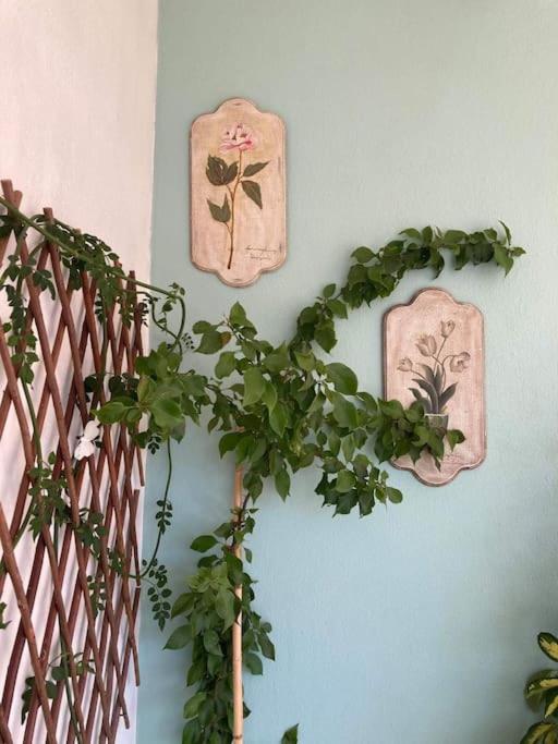 Nina's house in the center of Volos - Housity