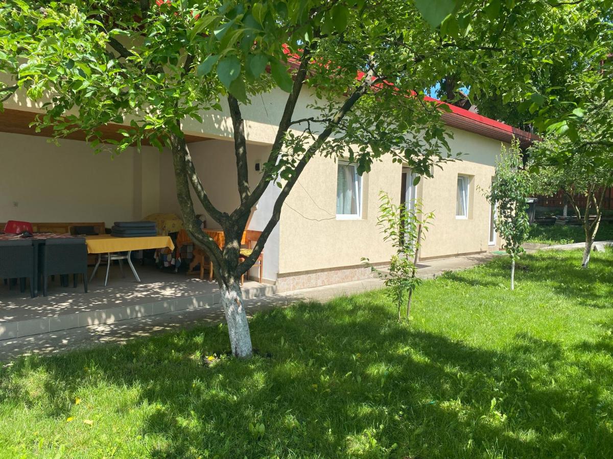 Casa de oaspe?i Bogdan - Housity
