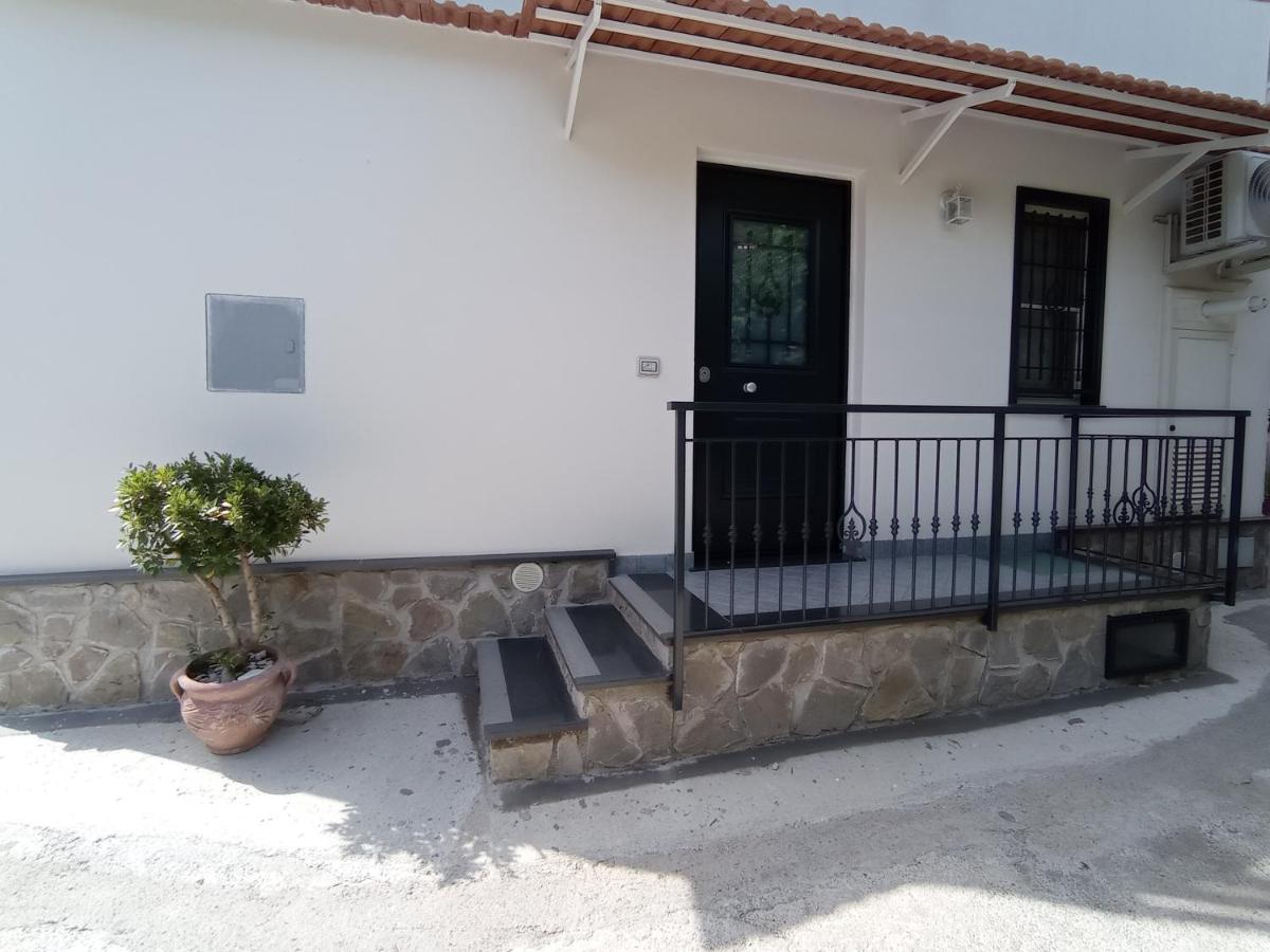 AMAA CASA - Housity