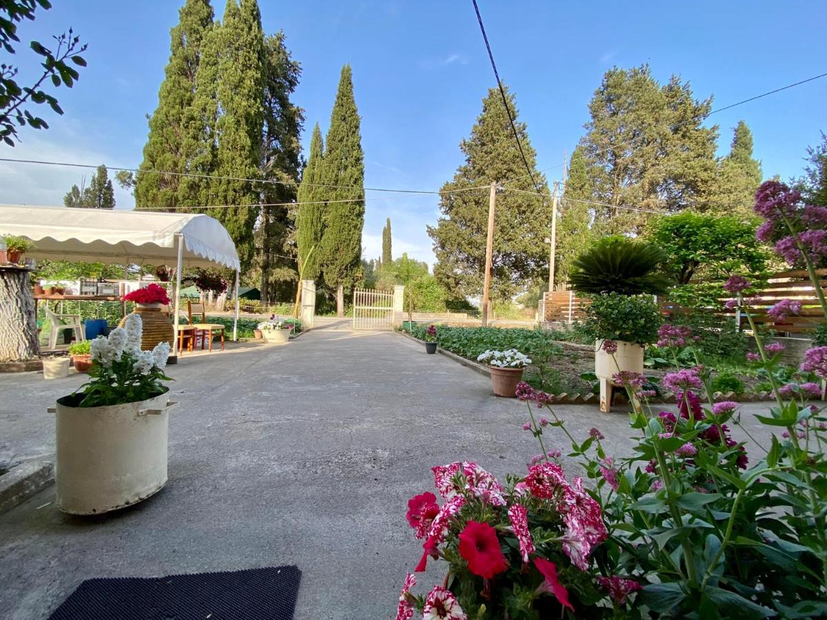 Suitetrails - Montsenigos Garden Apartment