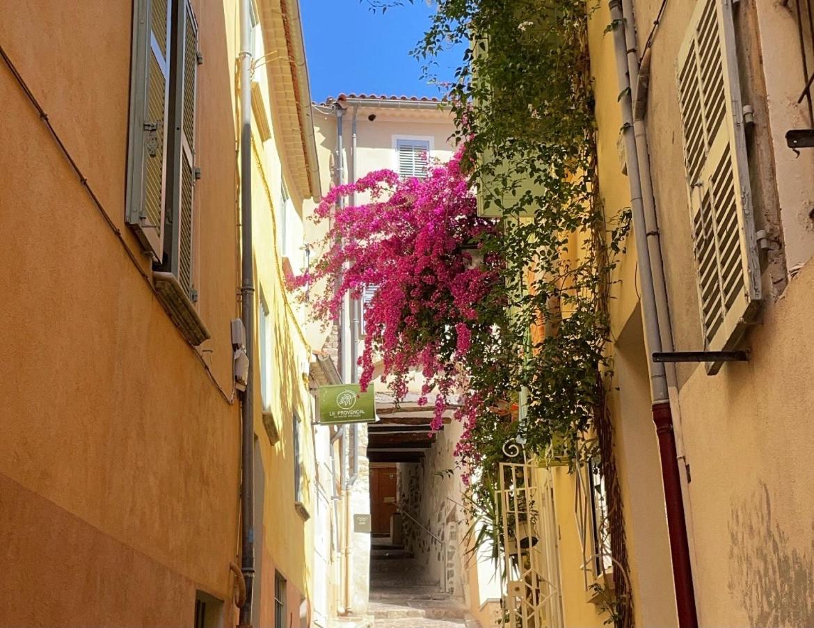 Appartement PALMIERS, Cœur de ville sur le parcours des arts - Housity