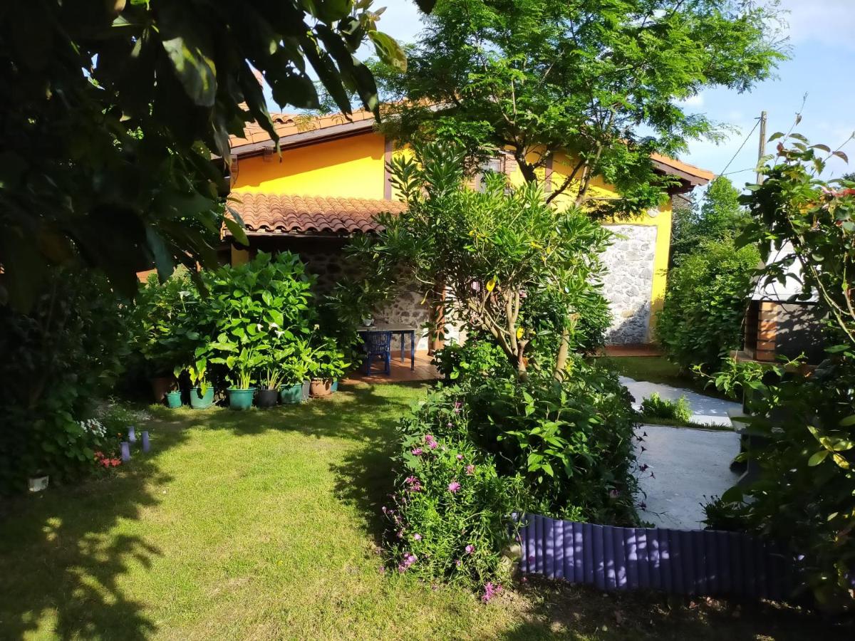 La casita de las flores - Housity