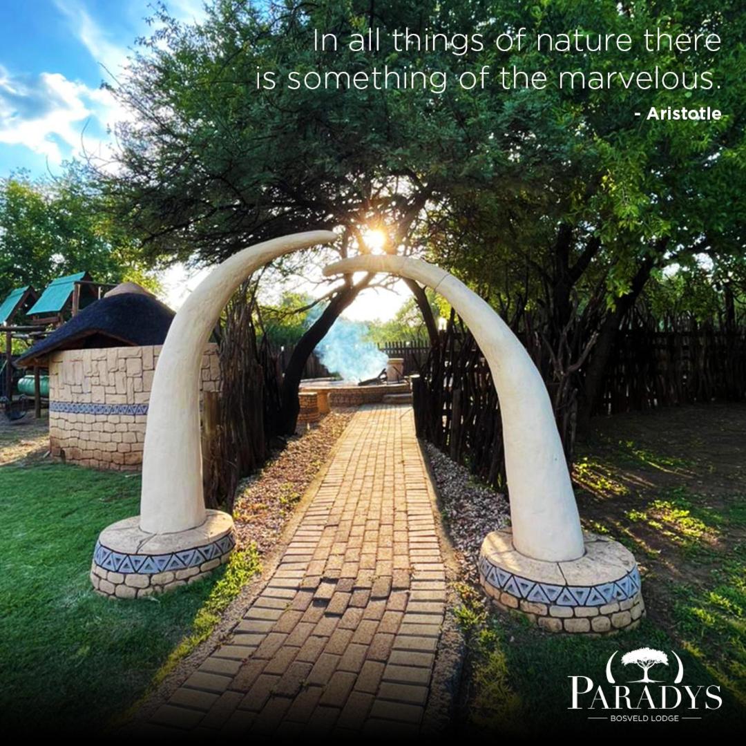 Paradys Bosveld Lodge - Housity