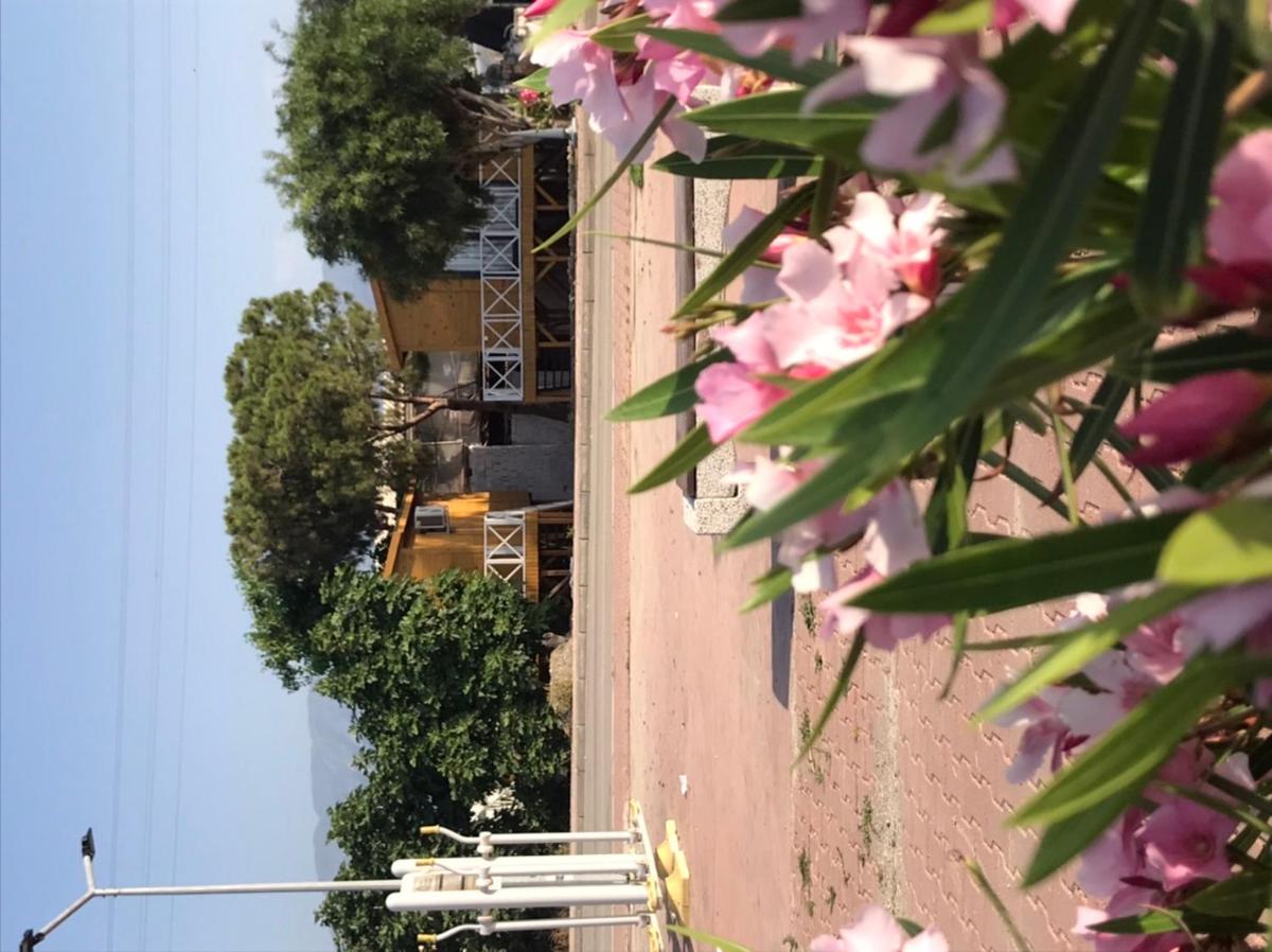 Rota Bungalow - Housity