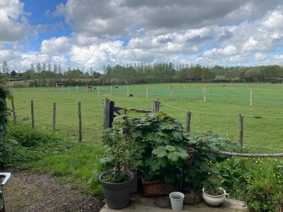 Secret & Secluded Sedlescombe - Housity