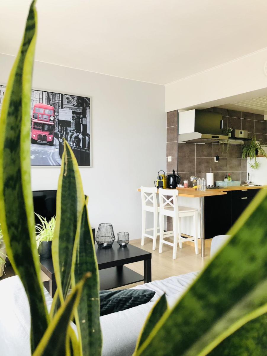 Studio Antwerp Central Station - Hizvo