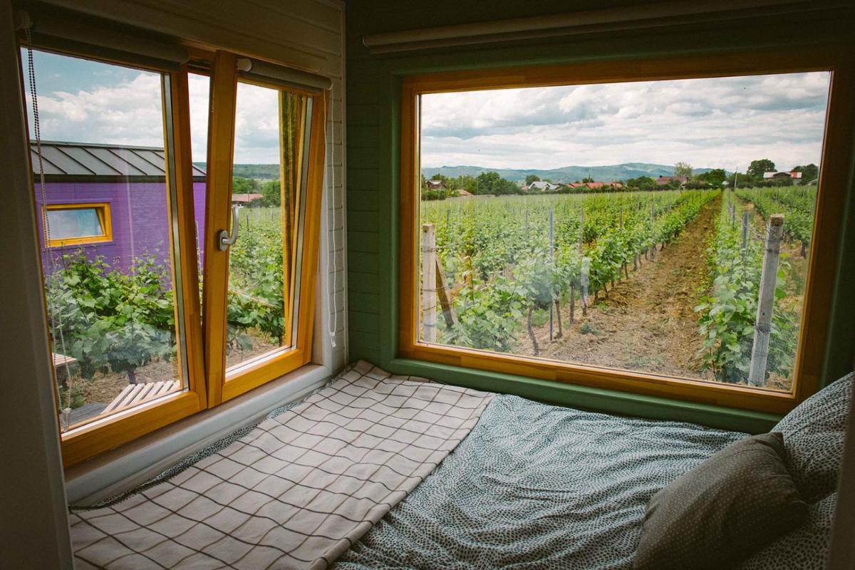 Tiny House in the vineyard by Gramofon Wine - Housity