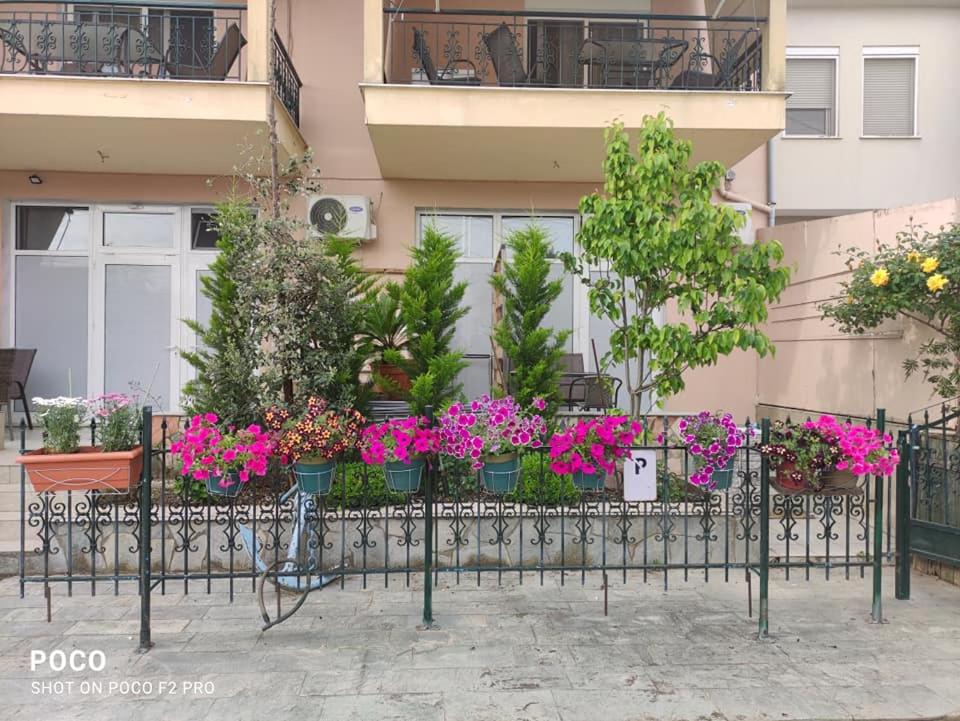 Villa Anna - Housity