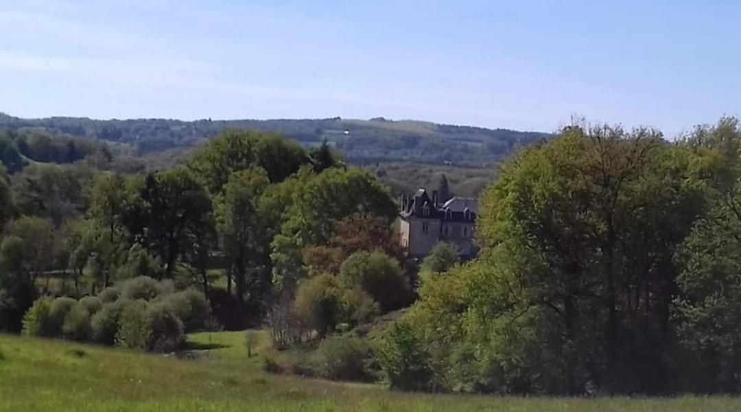 Domaine du Castellare - Housity