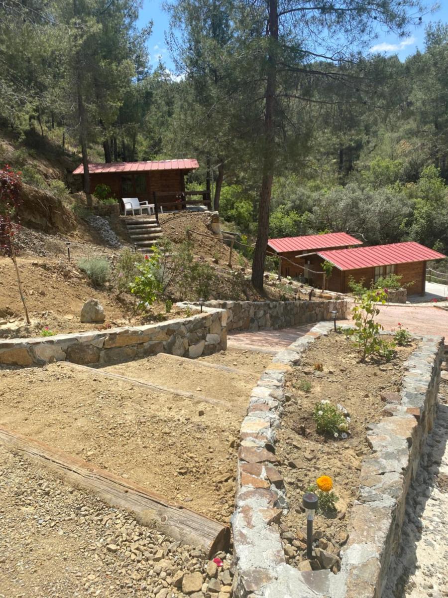Bosco Paradiso - Housity