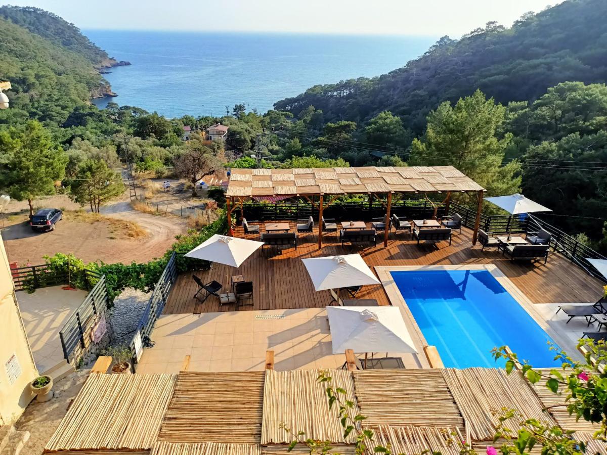 Tree Houses Hotel - Housity