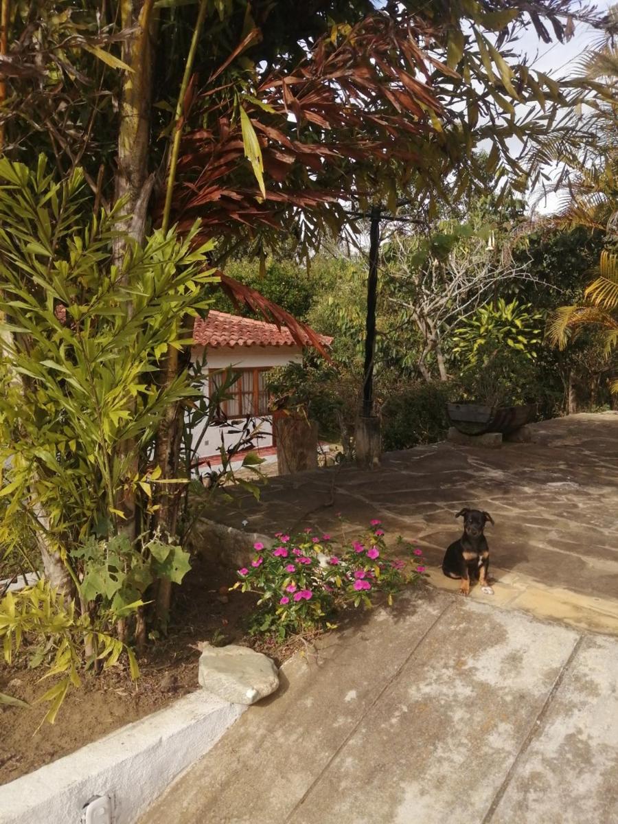 Hotel Ecoposada Viña de Aldana - Housity