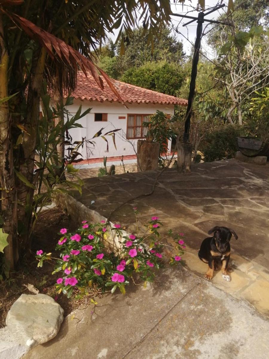 Hotel Ecoposada Viña de Aldana - Housity