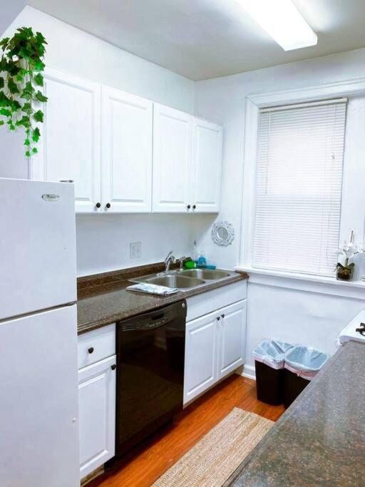 (53.1S) Forest Park, The Zoo, and much more - Housity