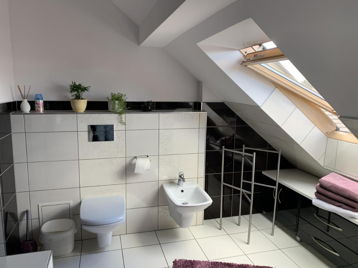 Apartament Podczerwone - Housity