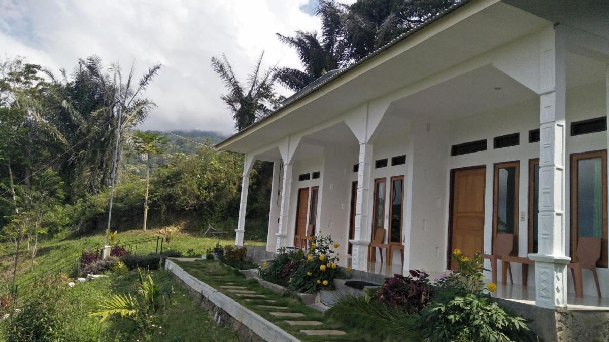 Filomena Lodge - Hizvo