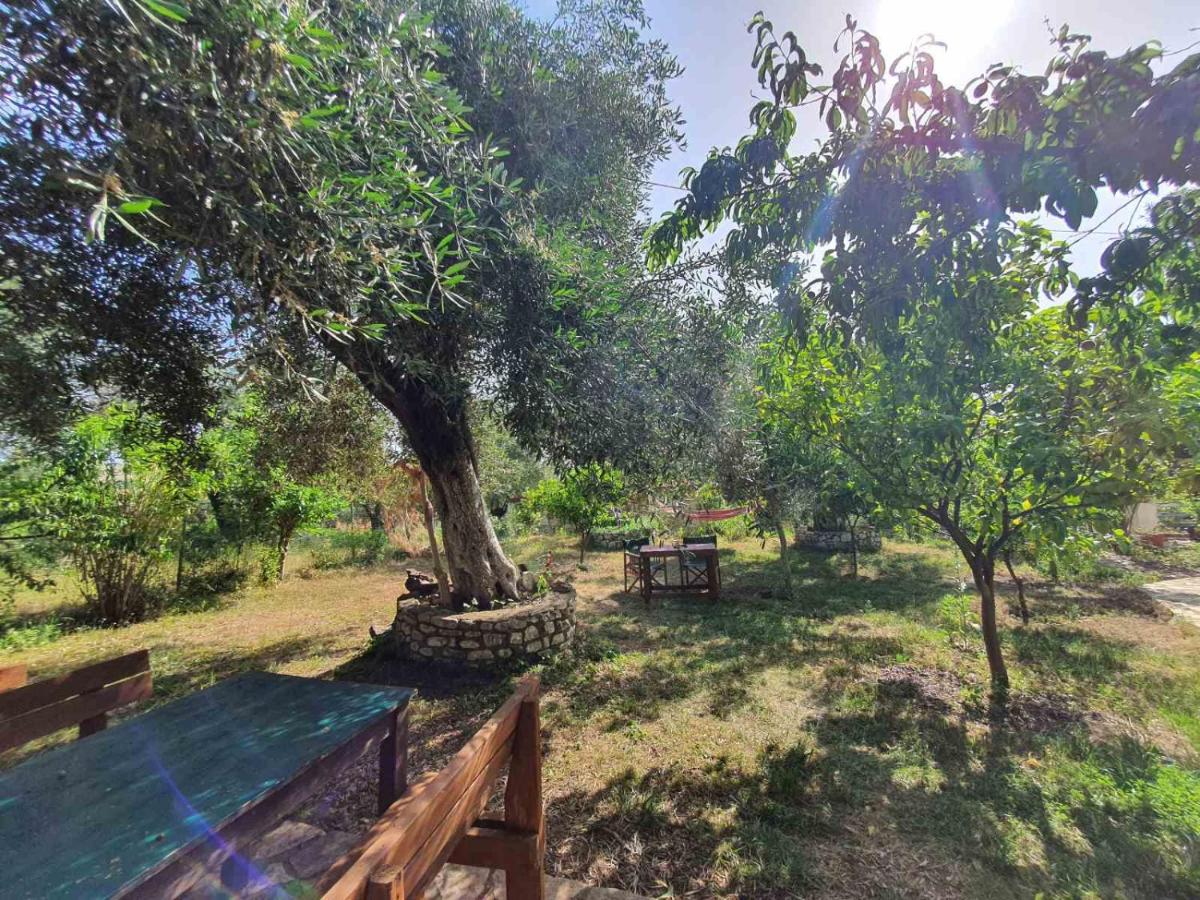 Filoxenia - The Place of Experience - Housity