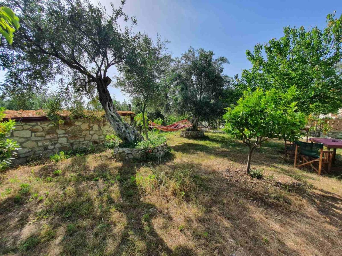 Filoxenia - The Place of Experience - Housity