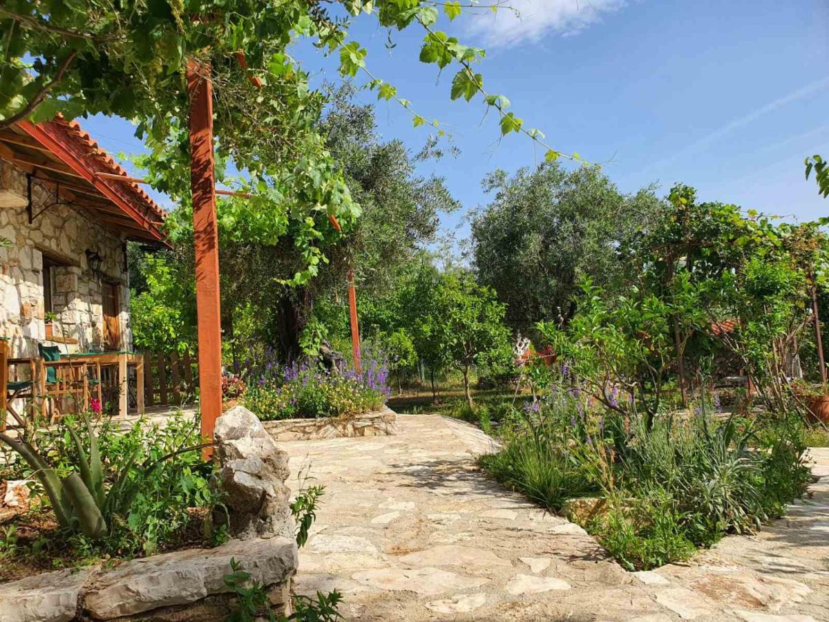 Filoxenia - The Place of Experience - Housity