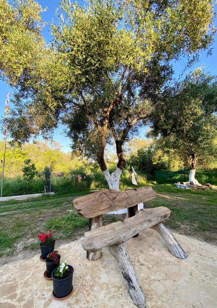 Endless Green: feel free and cozy in nature - Housity