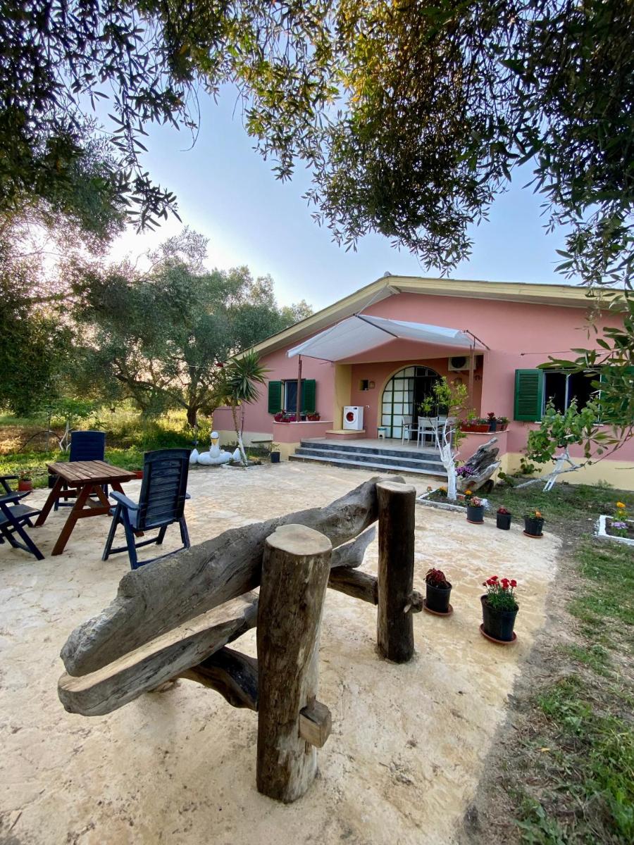 Endless Green: feel free and cozy in nature - Housity