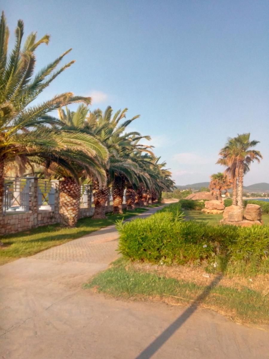 Joy House - Housity