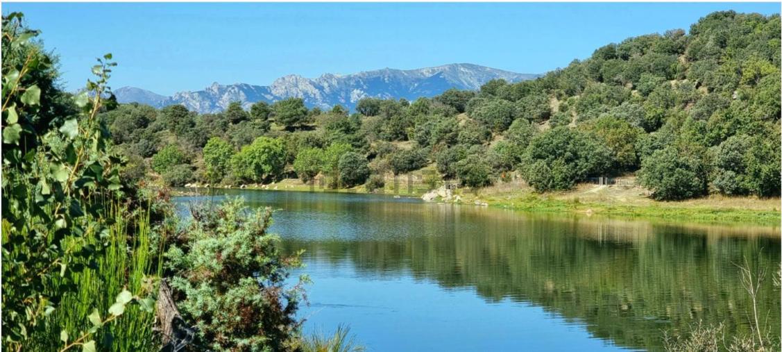 Suitetrails - Entre Pinos y Medusas