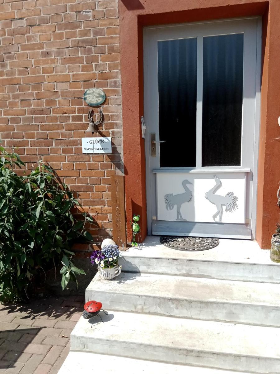 Hof Kranichweide, Ferienwohnung "Skinfaxi" - Housity