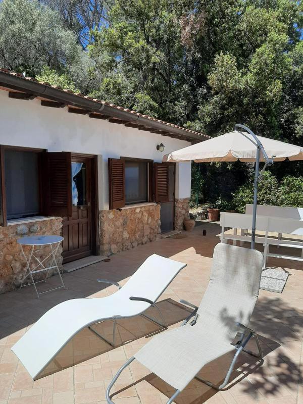 Affitti Brevi Toscana - La Terrazza sulla Spiaggia - Housity