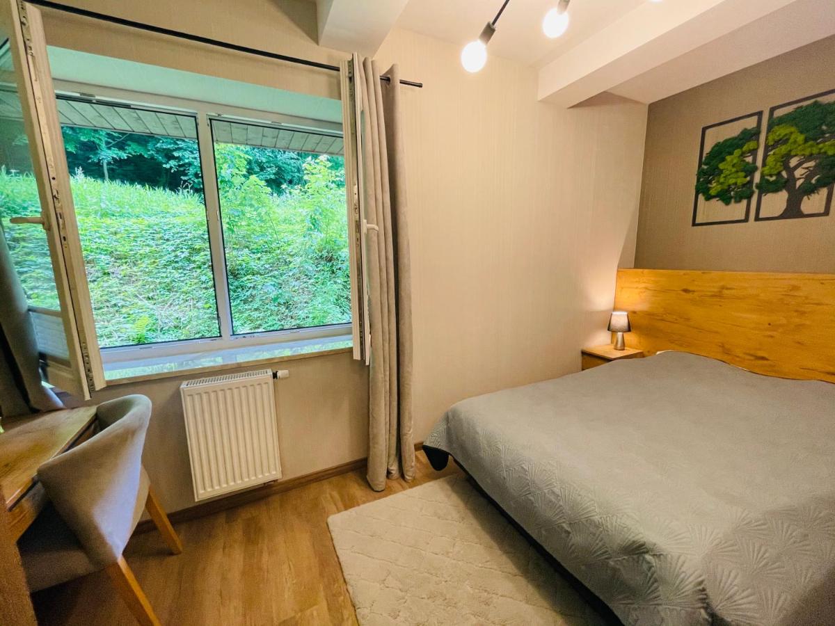 Apartament Góry i Potok - Housity