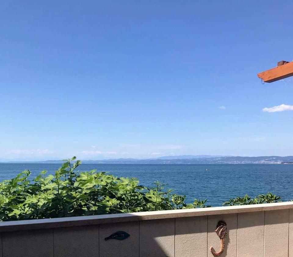 APARTMAJI PRI BOSI NOGI - Housity
