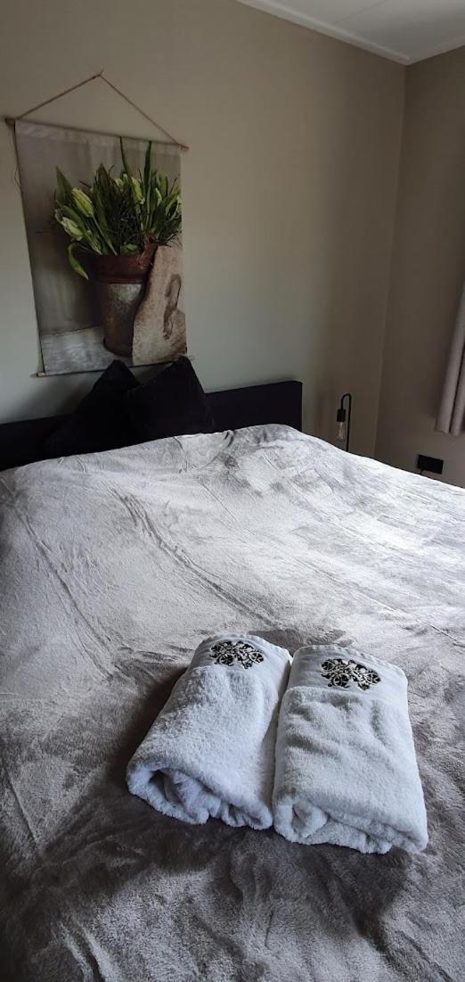 Luxe gastenkamer met living en keuken bij Friezen paarden Stal Pellendijk - Housity